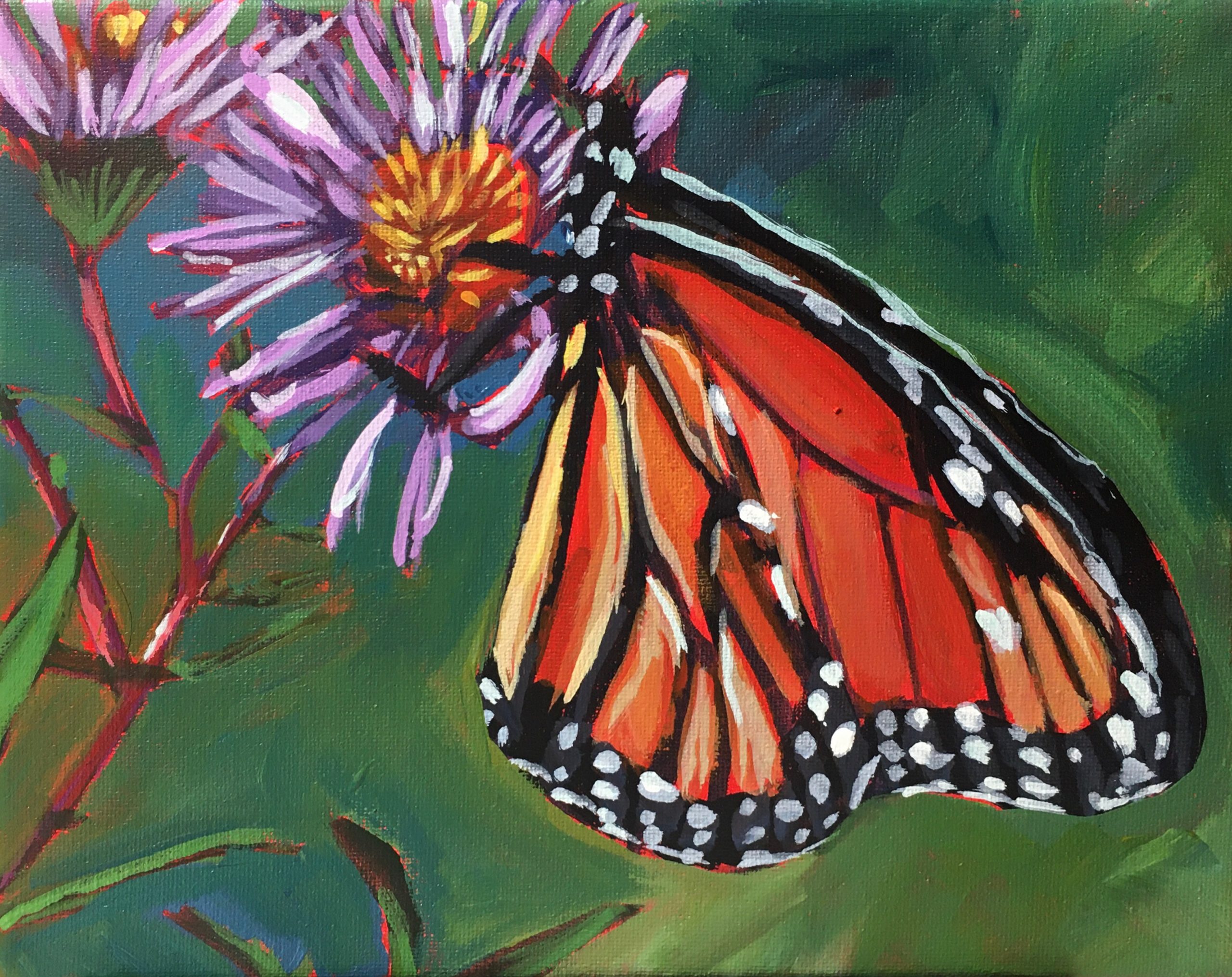 A butterfly on a flowerDescription automatically generated