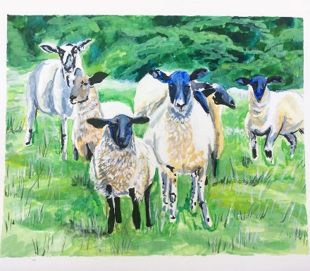 A group of goats in a field Description automatically generated with low confidence