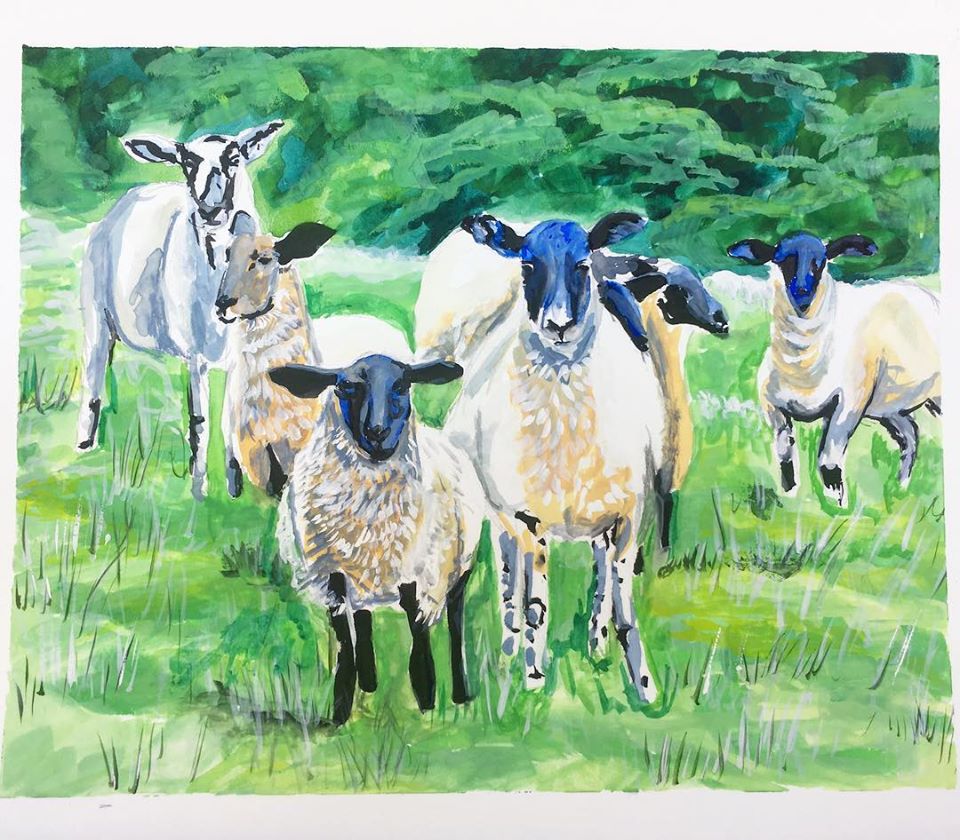 A group of goats in a field Description automatically generated with low confidence